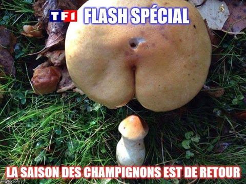 Caricature   sexe   la saison des champignons est ouverte