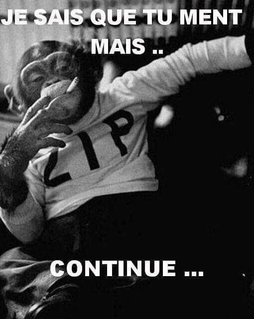 Caricature   singe qui fume  et dit je sais que tu ment mais continue