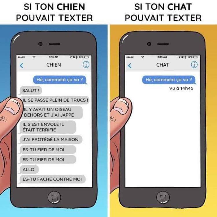 Caricature   téléphone   quand tu parles à ton chien et quand tu parles à ton chat