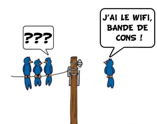 Caricature   wi fi   oiseau sur cable et oiseau qui vole sans cable