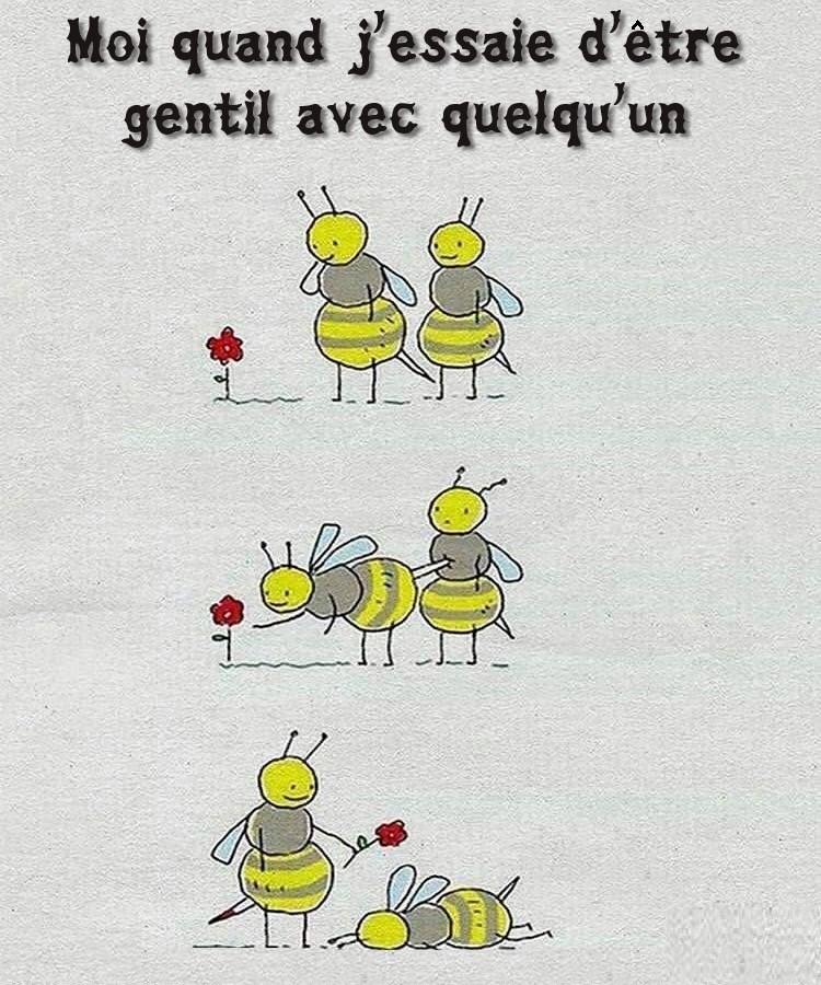 Caricature  mo qui essaye d'etre gentil avec quelqu'un guepe qui veux ceuillir une fleur et l'offrir mais tue son ami