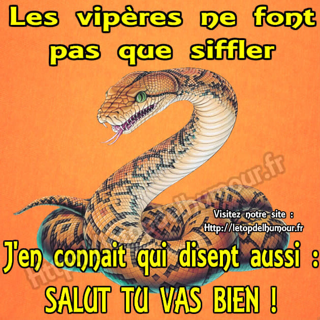 Citation   caricature   le vipère ça ne fait pas que siffler il y en a qu'il te disent salut tu vas bien