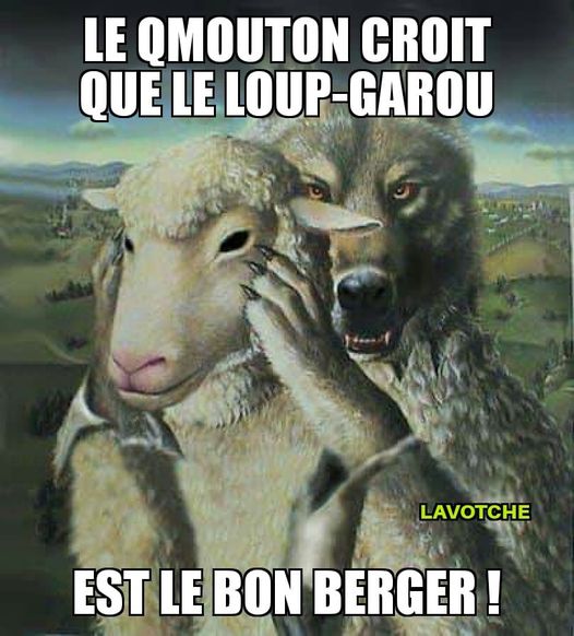 Dessin   caricature   le mouton croit que le loup garou est le bon berger