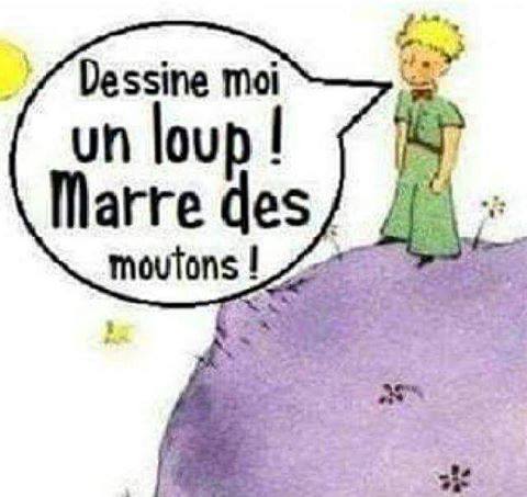 Dessine moi un loup marre des moutons