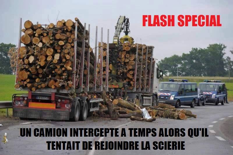 Flash Spécial   Un Camion Intercepté A Temps Avant Qu'il N'Aille A La Scierie