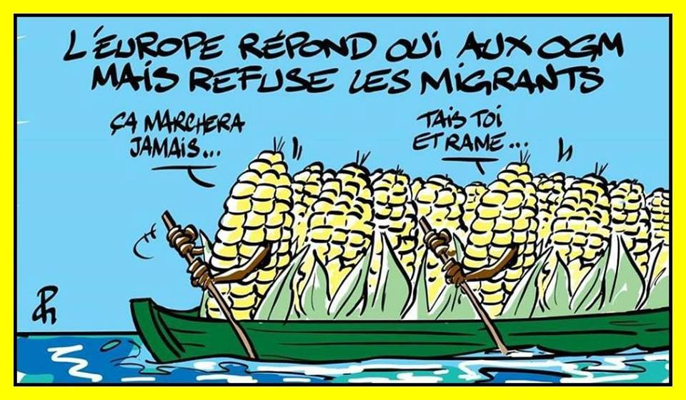 L'Europe Répond Oui Au O.G.M. Mas Refuse Les migrants