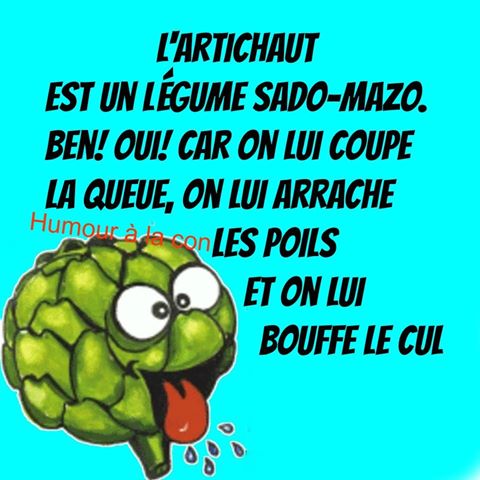 L'artichaux est un légume sado maso tu lui coupe la queue tu lui enleve le spoil et tu lui bouffe le cul