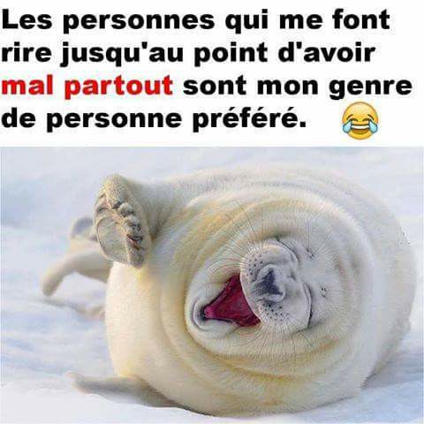Les personnes qui me font rire jusqu'a avoir mal partout sont mes préféré