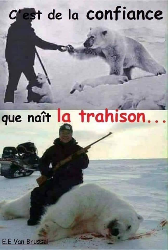 Mort   Caricature   c'est de la confiance que nait la trahison