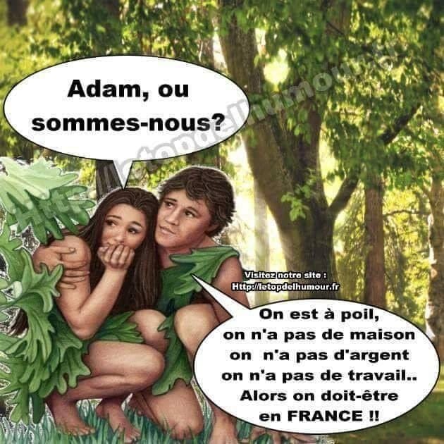 Religion   blague   caricature   adam ou somme nous on et a poil on n'a pas de maison pas d'argent pas de travail on doit être en France