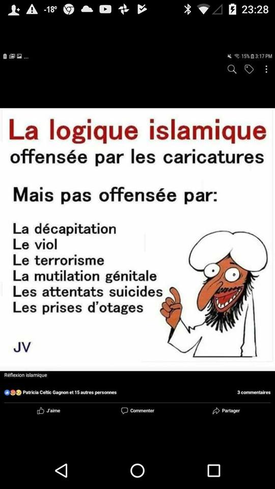 Religion   caricature   lalogique islamique mais paspour offensés parla décapitatin leviol le terrorisme la mutilation génital les attentats suicides les prises d'otages