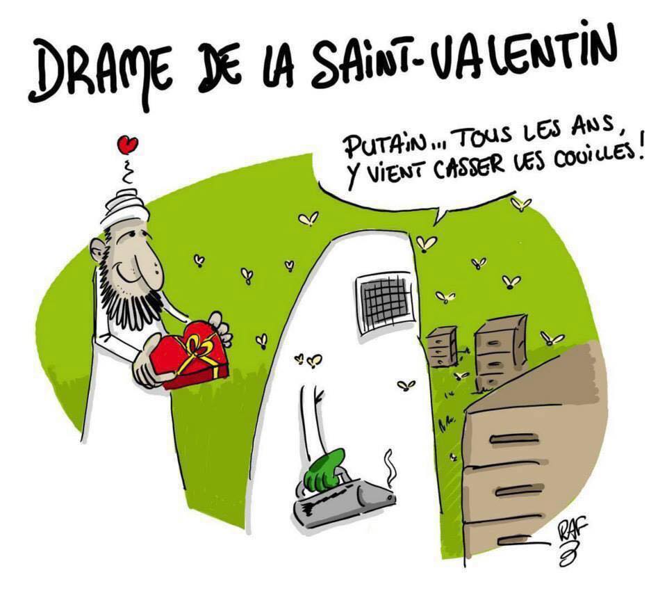 Saint valentin   Caricature   arabe qui offre un coeur à un eépicultrice en en combinaison contre les abeilles et dit tout les ans y viens me casser les couilles