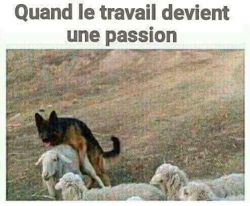 blague quand le travail devient un epassion