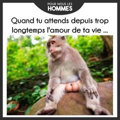 blague quand tu a ttend trop longtemps l'amour d eta vie