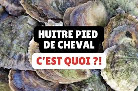 Huitres de tchernobil   russe = virus   le seul animal que l on mange encore vivant sans cerveau   les russes egal l argent metal liquide ont pris un coup de soleil sur le sable de Mars   capsule diode   cheval de l'apocalypse