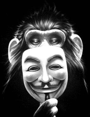 Anonymous   singe avec masque